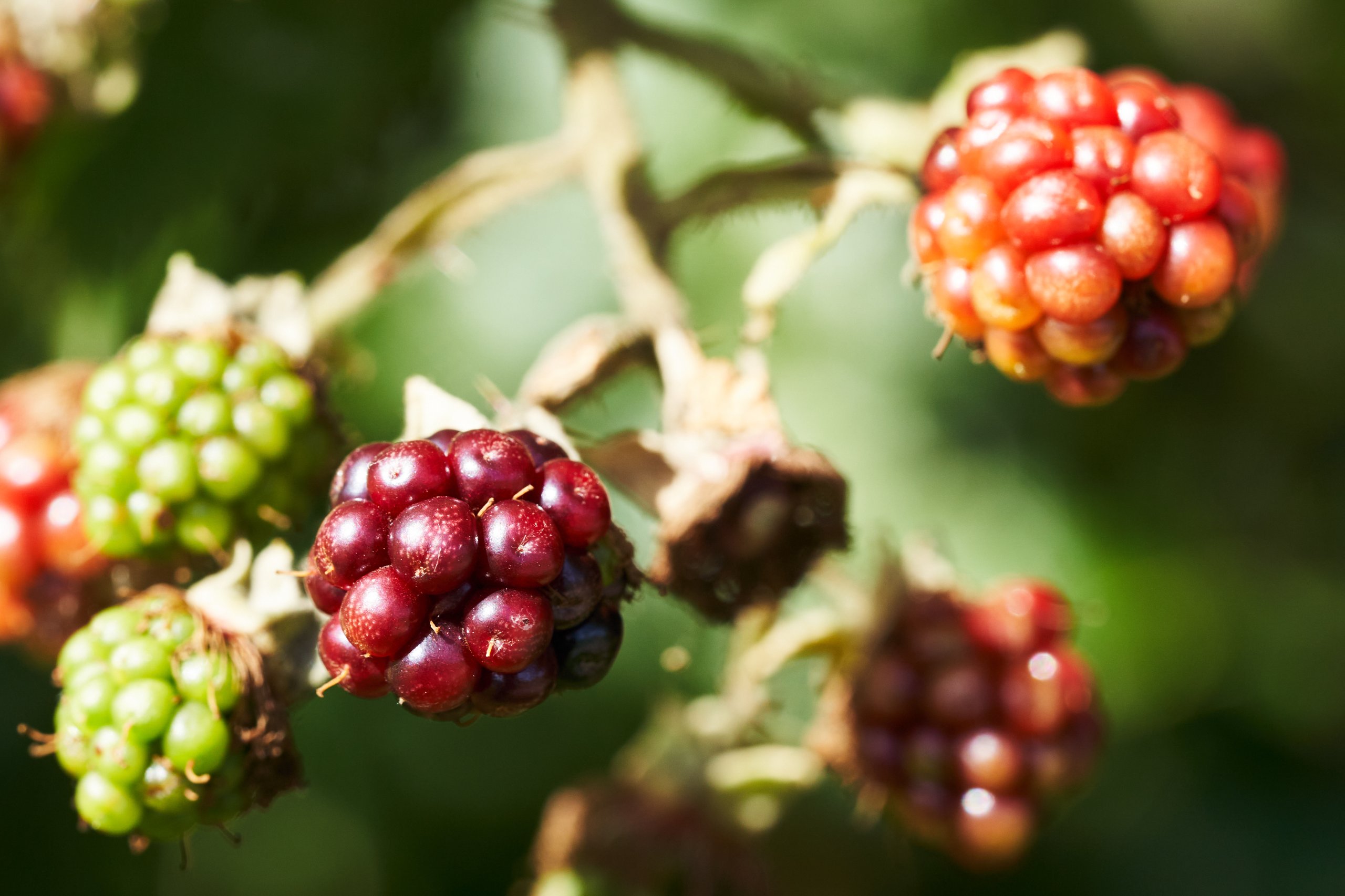 Landschaftspark Nord 0024